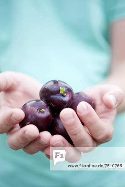 Mittelteil des Jungen mit Pflaumen in der Hand
