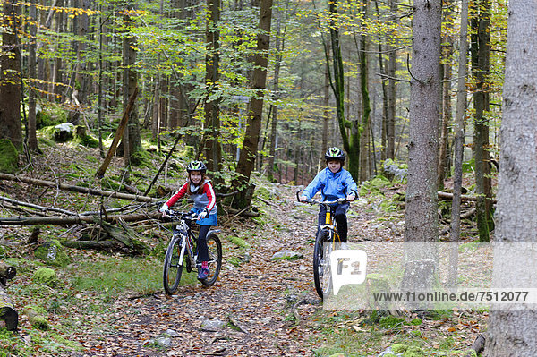 Children riding mountain bikes in a forest near Grainau  Werdenfelser Land  Upper Bavaria  Bavaria  Germany  Europe