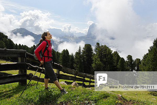 Hiker at the Raschötz or Rasciesa mountain pasture with Mt. Sasso Lungo  near St. Ulrich  Val Gardena valley  Southern Tyrol  Alto Adige  Italy  Europe