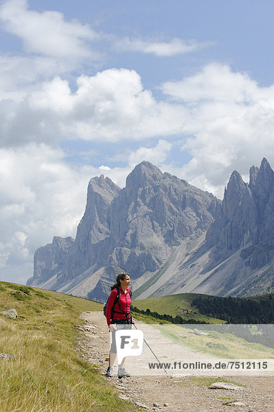 Wanderin auf dem Raschötz vor den Geislerspitzen  Grödnertal  Südtirol  Alto Adige  Italien  Europa