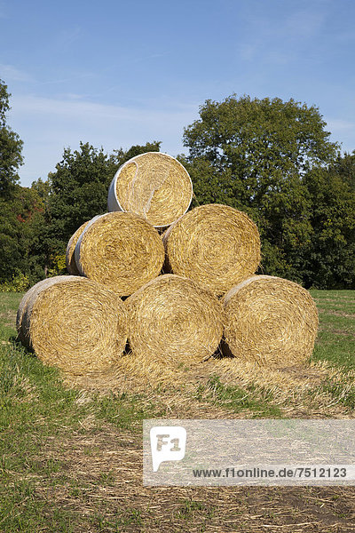 Strohballen auf einem Feld  Kamen  Ruhrgebiet  Nordrhein-Westfalen  Deutschland  Europa  ÖffentlicherGrund