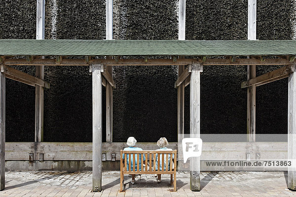 Zwei Seniorinnen sitzen vor Gradierwerk  inhalieren salzhaltige Luft  Sole  Grugapark  Essen  Ruhrgebiet  Nordrhein-Westfalen  Deutschland  Europa