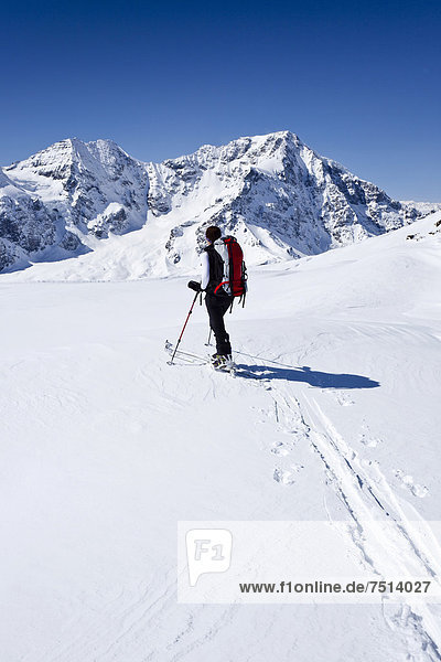 Skitourengeher beim Aufstieg zur hinteren Schöntaufspitze  Sulden  hinten der Ortler und Zebru  Südtirol  Italien  Europa