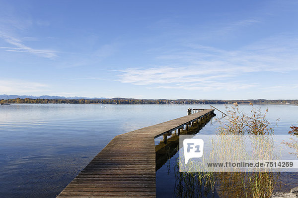 Starnberger See bei Sankt Heinrich  Gemeinde Münsing  Fünfseenland  Oberbayern  Bayern  Deutschland  Europa
