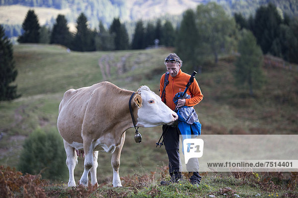 Ein Mann steht auf einer Almwiese und versucht  eine neugierige Kuh auf Abstand zu halten  Techendorf  Kärnten  Österreich  Europa