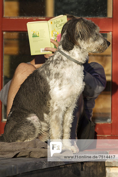 Ein Mann sitzt in der Sonne und liest ein Buch  vor ihm sitzt sein Hund und passt auf  Kärnten  Österreich  Europa