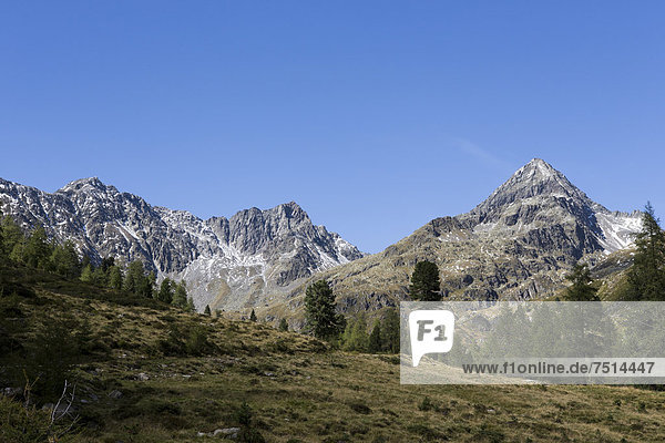 Bergpanorama im Debanttal  hinten rechts der Glödis  links daneben Ralfkopf und Debantgrat  Osttirol  Österreich  Europa
