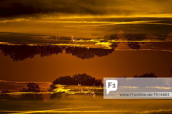 Doppelbelichtung einer Landschaft im Sonnenuntergang  bei Potsdam-Paaren  Havelland  Brandenburg  Deutschland  Europa