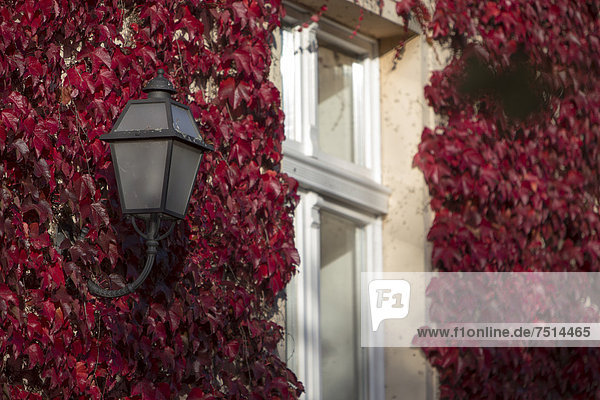 Europa Fenster Wohnhaus Lampe Herbst Brandenburg Deutschland