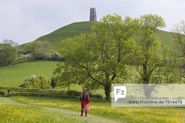 Glastonbury-Hügel mit dem St. Michaels-Turm  Somerset  England  Großbritannien  Europa