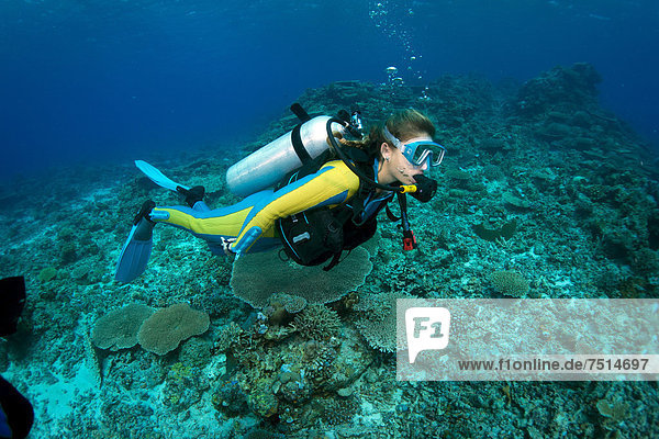 Scuba diver swimming in a coral reef  Philippines  Asia