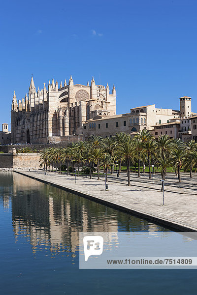 Die Kathedrale La Seu  Altstadt  Palma de Mallorca  Mallorca  Balearen  Spanien  Europa