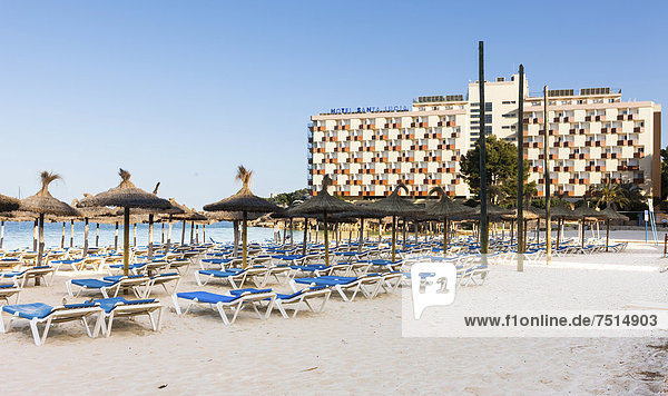 Strandabschnit bei Palma Nova mit Sonnenliegen und Hotels  Palma Nova  Mallorca  Balearen  Spanien  Europa