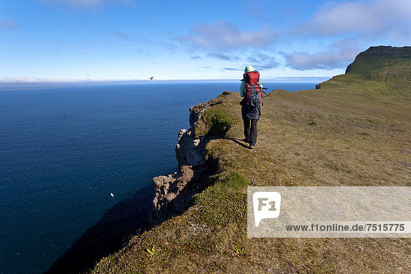 Hiker on a cliff near Hornstrandir  Westfjords  Iceland  Europe