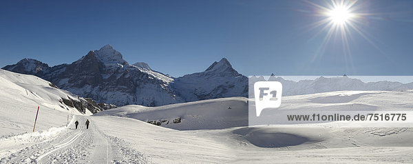 Schnee in den Bergen in der Nähe von Grindelwald First  Schweizer Alpen  Schweiz  Europa