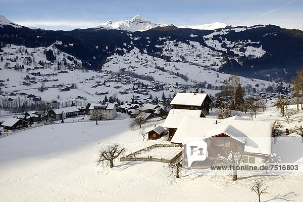 Schweizer Chalets im Winter  Grindelwald  Schweizer Alpen  Schweiz  Europa