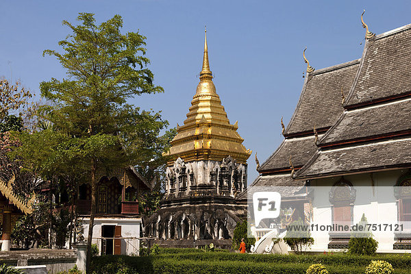 Chedi mit Elefantenstatuen  Wat Chiang Man  Chiang Mai  Nordthailand  Thailand  Asien