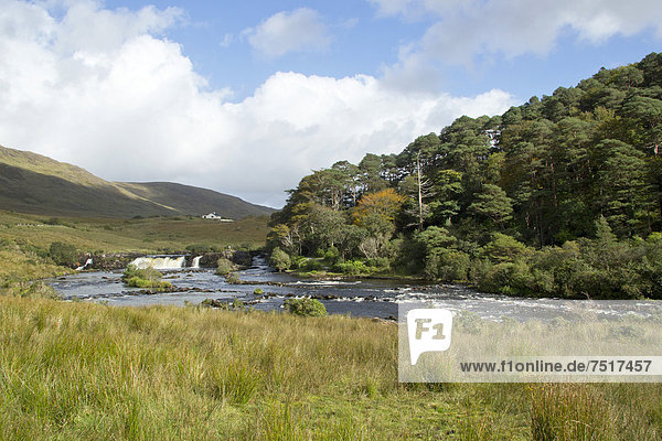 'Aasleagh-Wasserfall  Leenane  bekannt durch den Film ''The Field''  County Galway  Irland  Europa'
