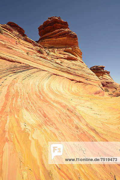 '''Swirl Hills'' Brain Rocks of the Coyote Buttes South CBS Cottonwood Teepees eroded Navajo sandstone rocks with Liesegang bands or Liesegang rings Pareah Paria Plateau Vermilion Cliffs National Monument Arizona Utah Southwest USA'