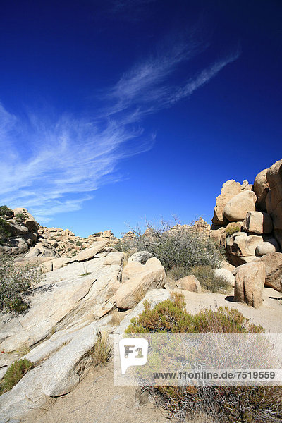 Felsenlandschaft im Joshua Tree National Park  Mojawe-Wüste  Kalifornien  USA