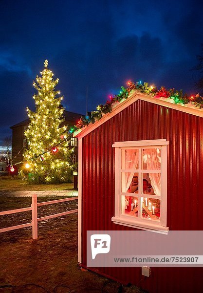 Reykjavik Hauptstadt hoch oben Fröhlichkeit Wohnhaus Gemütlichkeit klein Urlaub Besuch Treffen trifft Weihnachten Island