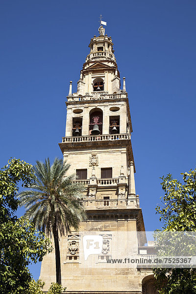 Glockenturm der Kathedrale  ehemalige Moschee Mezquita  Cordoba  Andalusien  Spanien  Europa