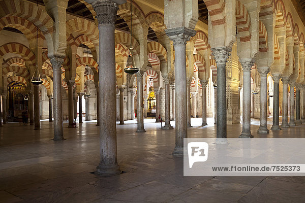 Säulenhalle der Kathedrale  ehemalige Moschee Mezquita  Cordoba  Andalusien  Spanien  Europa