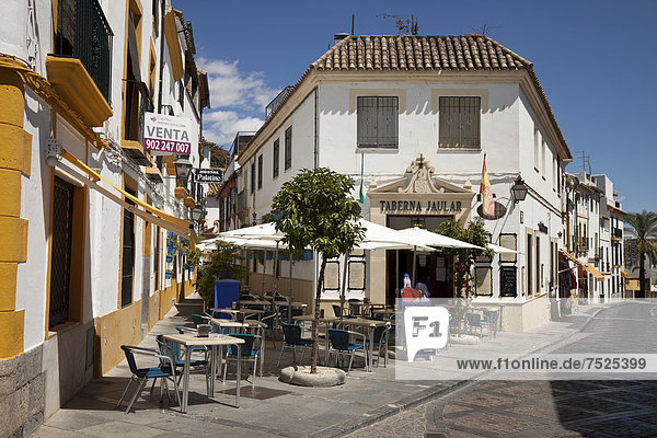 Gaststätte in der Altstadt  Cordoba  Andalusien  Spanien  Europa  ÖffentlicherGrund