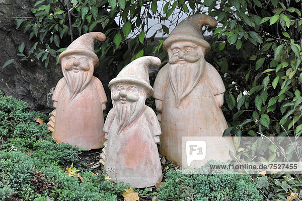 Garden gnomes vineyard estate Lauffen am Neckar Baden-Wuerttemberg Germany Europe