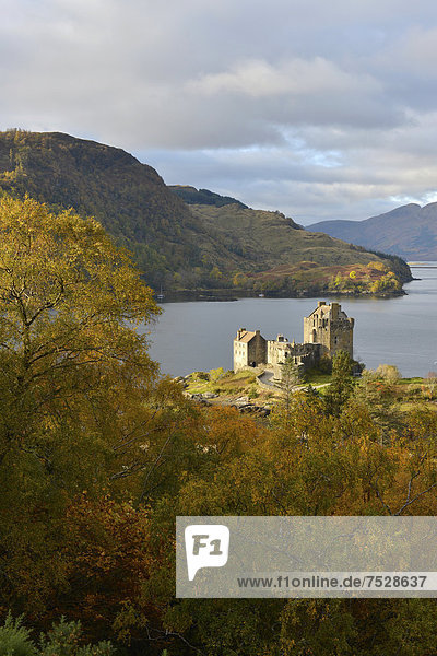 Eilean Donan Castle mit herbstlichem Wald  Stammsitz des schottischen Clans der Macrae  Loch Duich  Dornie  Northwest Highlands  Schottland  Vereinigtes Königreich  Europa