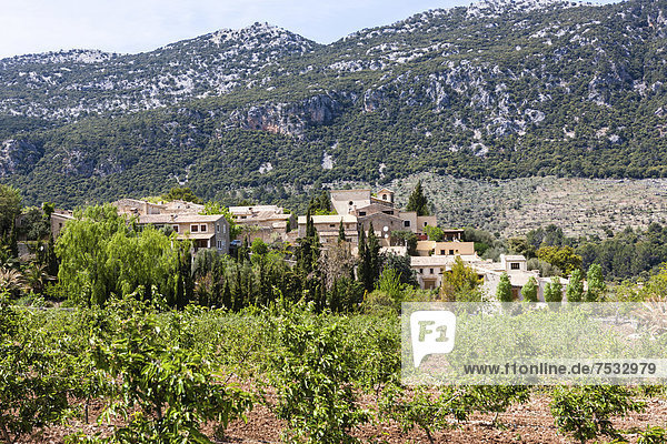 Blick auf die Ortschaft Orient  Urbanisation Alaro  Mallorca  Balearen  Spanien  Europa
