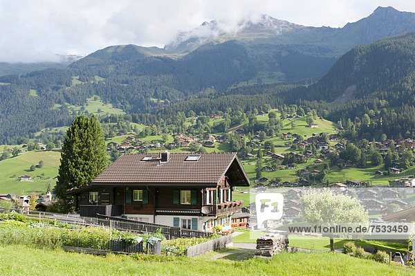 Europa Berg Wohnhaus Alpen Berner Oberland Grindelwald Schweiz Kanton Bern