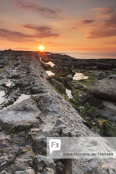 Felsstrand von Watchet bei Sonnenuntergang  Küste von Somerset  England  Großbritannien  Europa