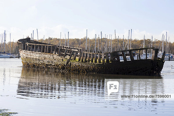 Wooden boat wreck rotting on the River Hamble estuary  England  United Kingdom  Europe