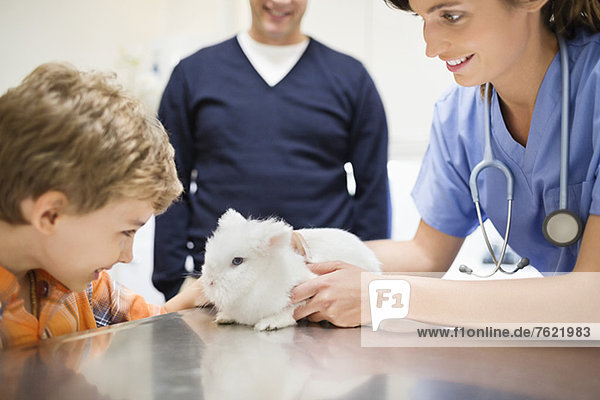 Tierarzt und Besitzer untersucht Kaninchen in der Tierarztpraxis