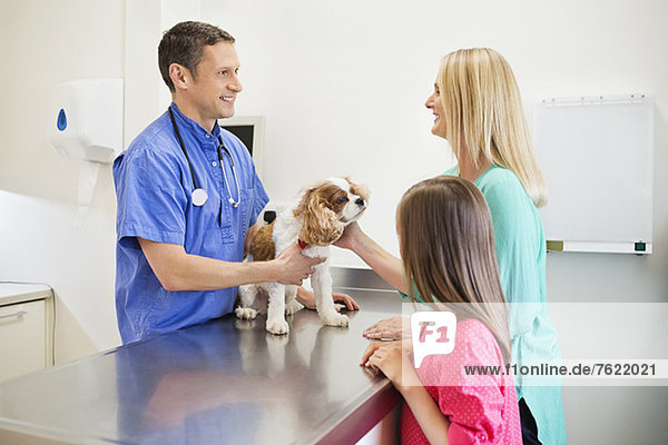 Tierarzt und Besitzer bei der Untersuchung von Hunden in der Tierarztpraxis