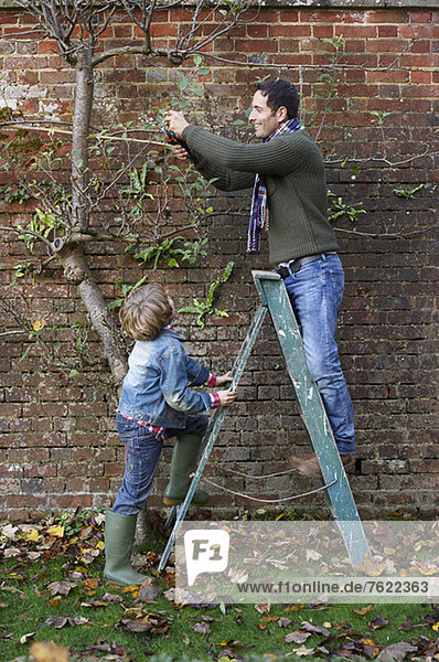 Vater und Sohn arbeiten im Garten