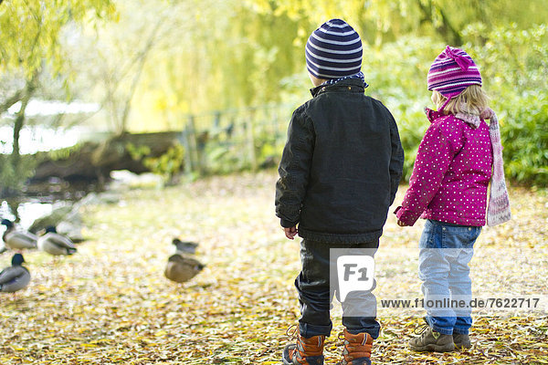 Zwei Kleinkinder beobachten Enten im Herbst