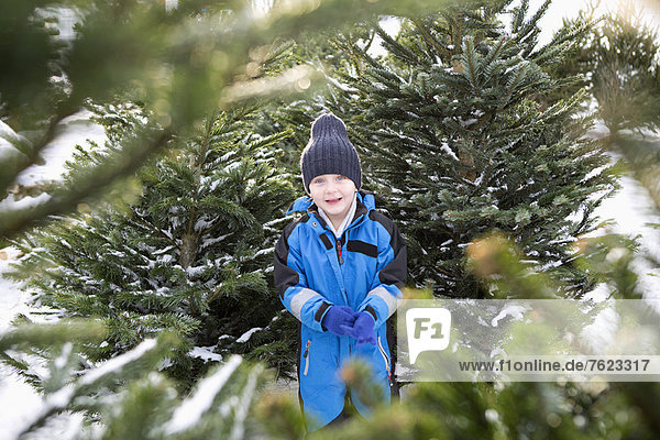 Junge steht auf dem Weihnachtsbaumplatz