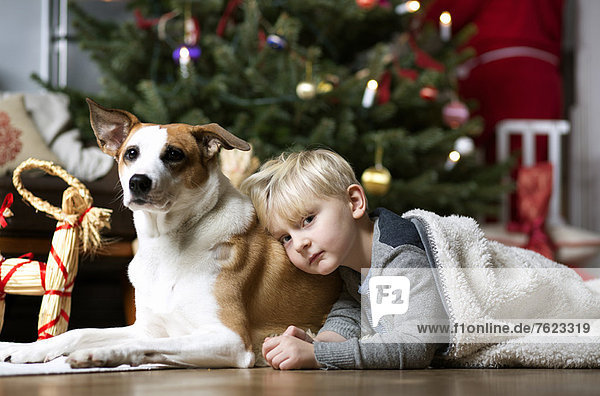 Junge und Hund am Weihnachtsbaum