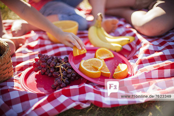 Obst auf Picknickdecke im Feld