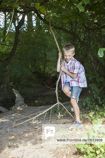 Boy playing on tree swing