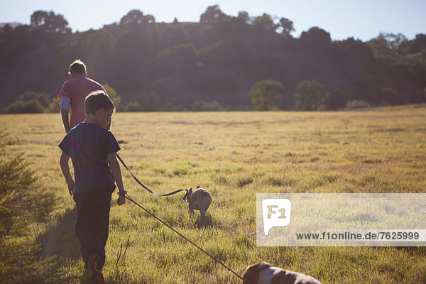 Father and son walking dogs in field