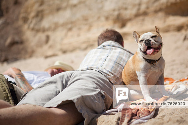 Men relaxing with dog on beach
