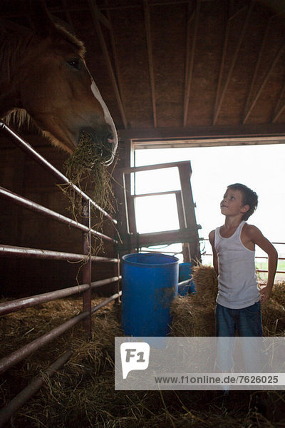Boy feeding horse in barn
