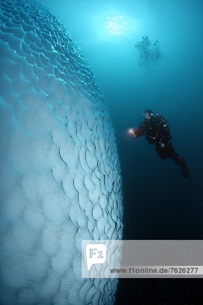 Iceberg under water with diver in front of it  near Kulusuk  Greenland  underwater shot