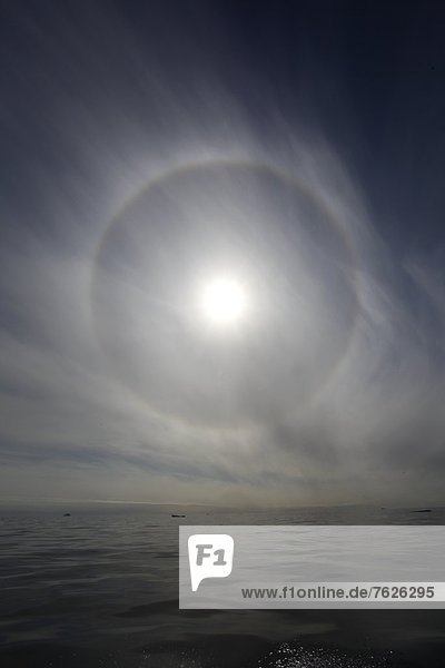 Korona der Sonne über dem Ozean  Tasiilaq  Grönland