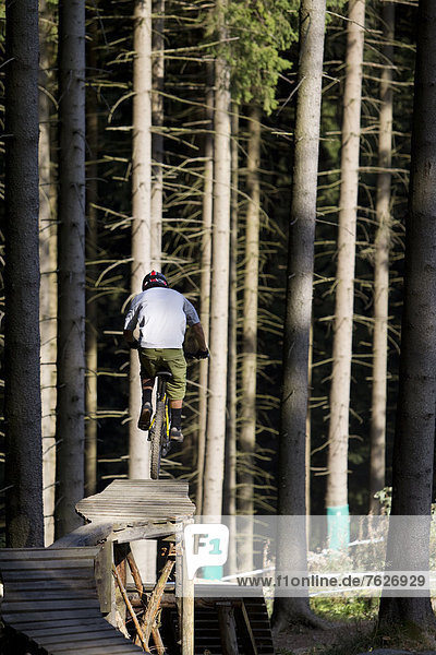 Man on downhill mountain bike on wooden path  Winterberg  Germany