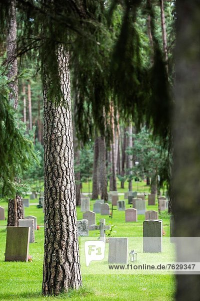 Stockholm Hauptstadt Stein Baum Wald Skogskyrkogarden Friedhof Grab Schweden