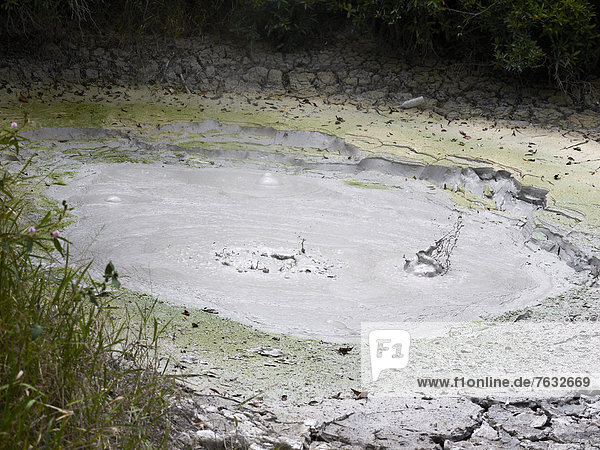 Vulkanisches  brodelndes Schlammloch mit Mineralschlamm   Las Pailas  RicÚn de la Vieja Nationalpark  Provinz Guanacaste  Costa Rica  Zentralamerika